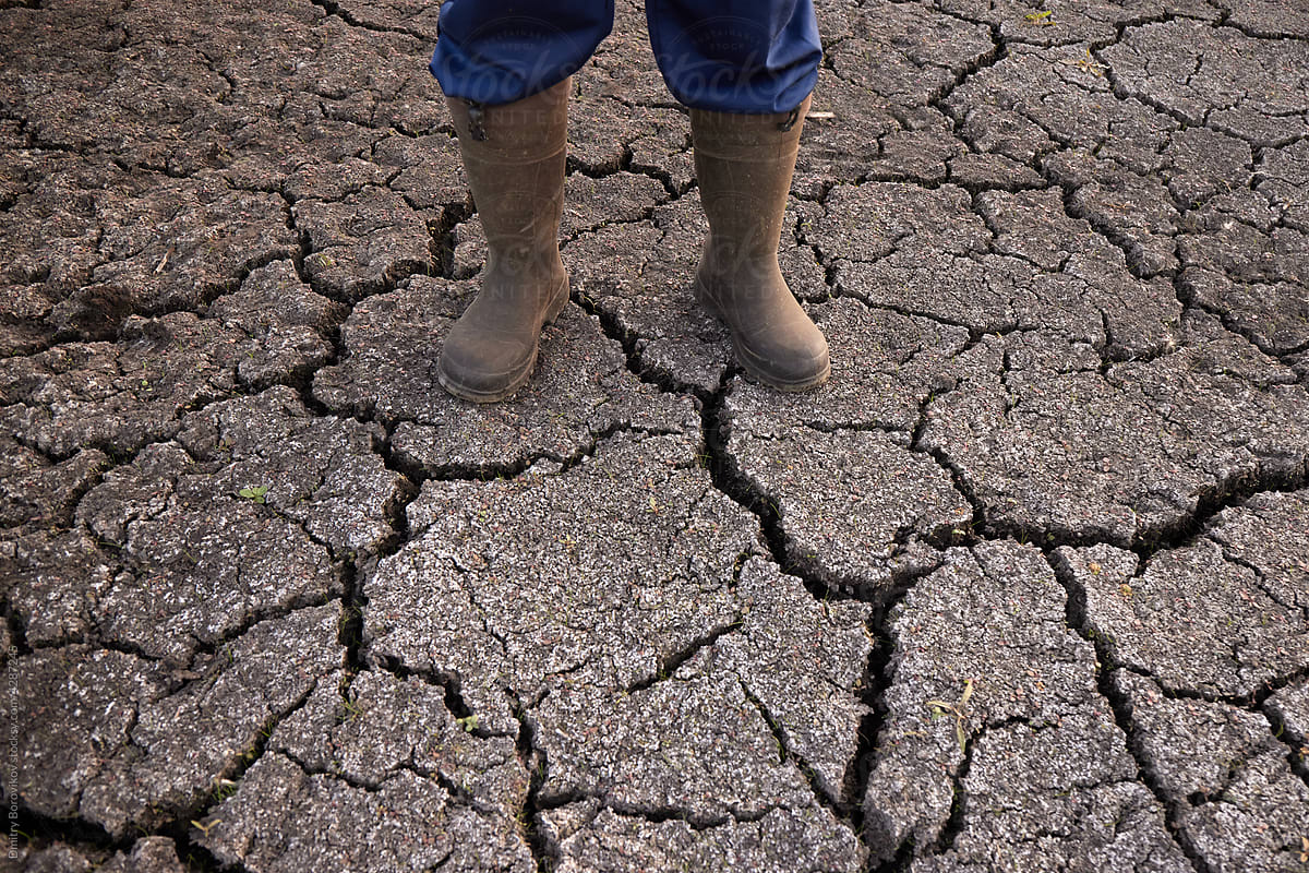 Farmer male feet stand on  cracked ground