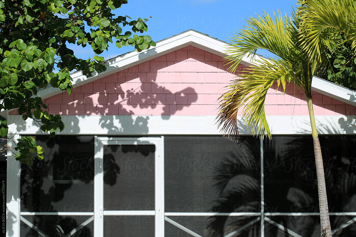 Pink House With Tropical Trees And Shadows