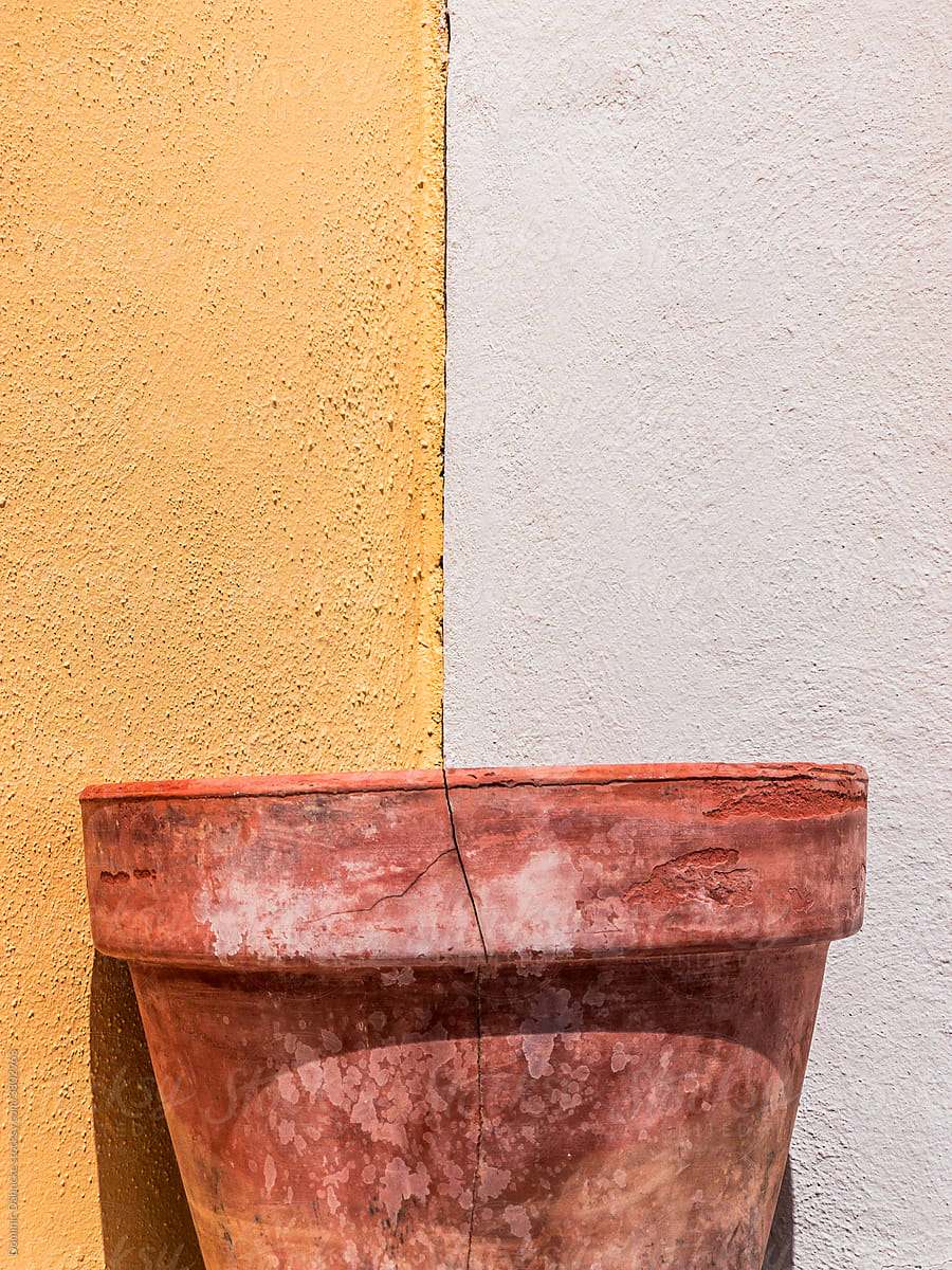 The line of separation between two paintings joins a broken flowerpot.