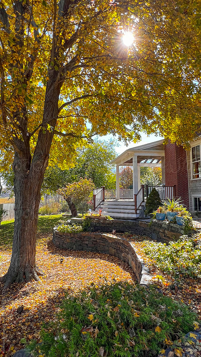 House porch with Autumn foliage leaves