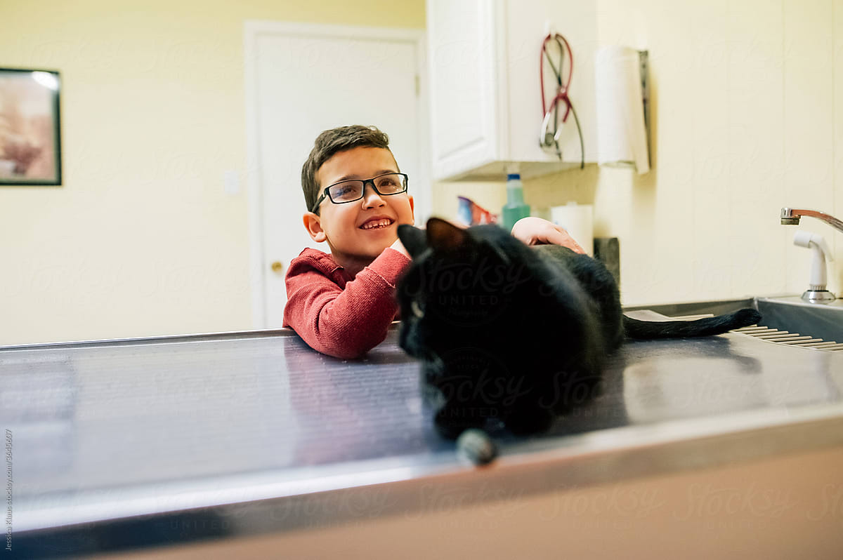 A boy and his cat at the vet.