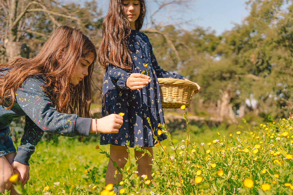 Sisters picking flowers at field in spring