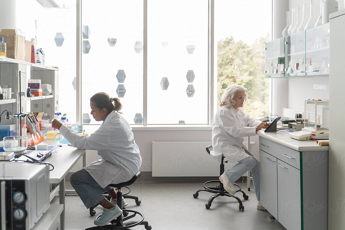 People Working In Modern Bright Laboratory