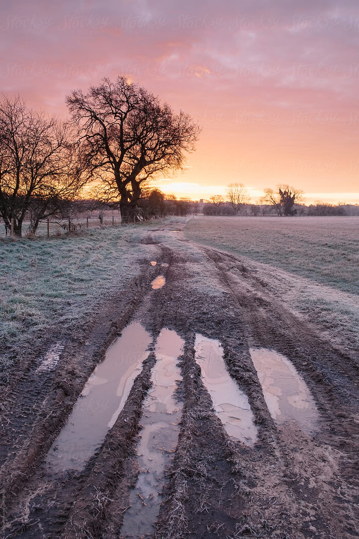 Frozen farm track at sunrise. Cressingham, Norfolk, UK.
