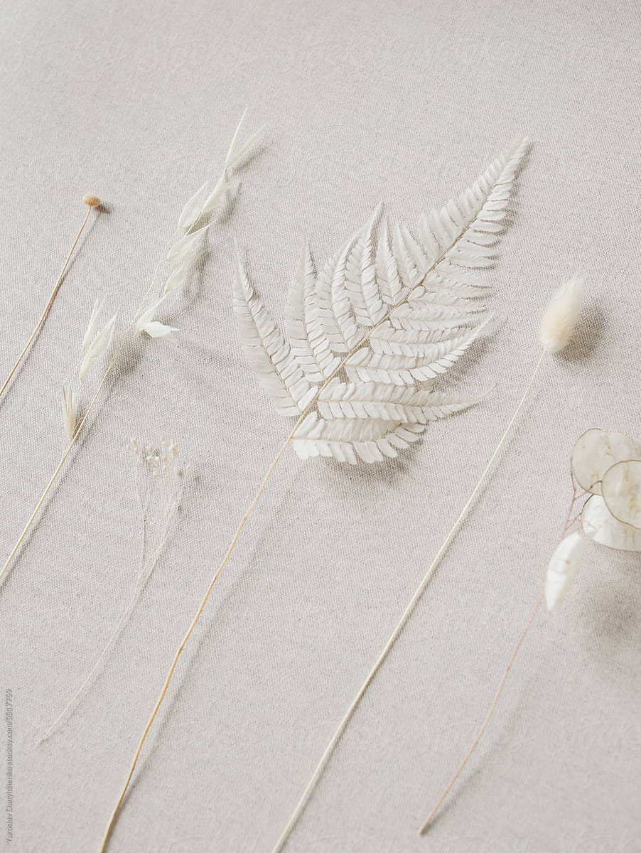Dry flowers on white natural linen cloth.