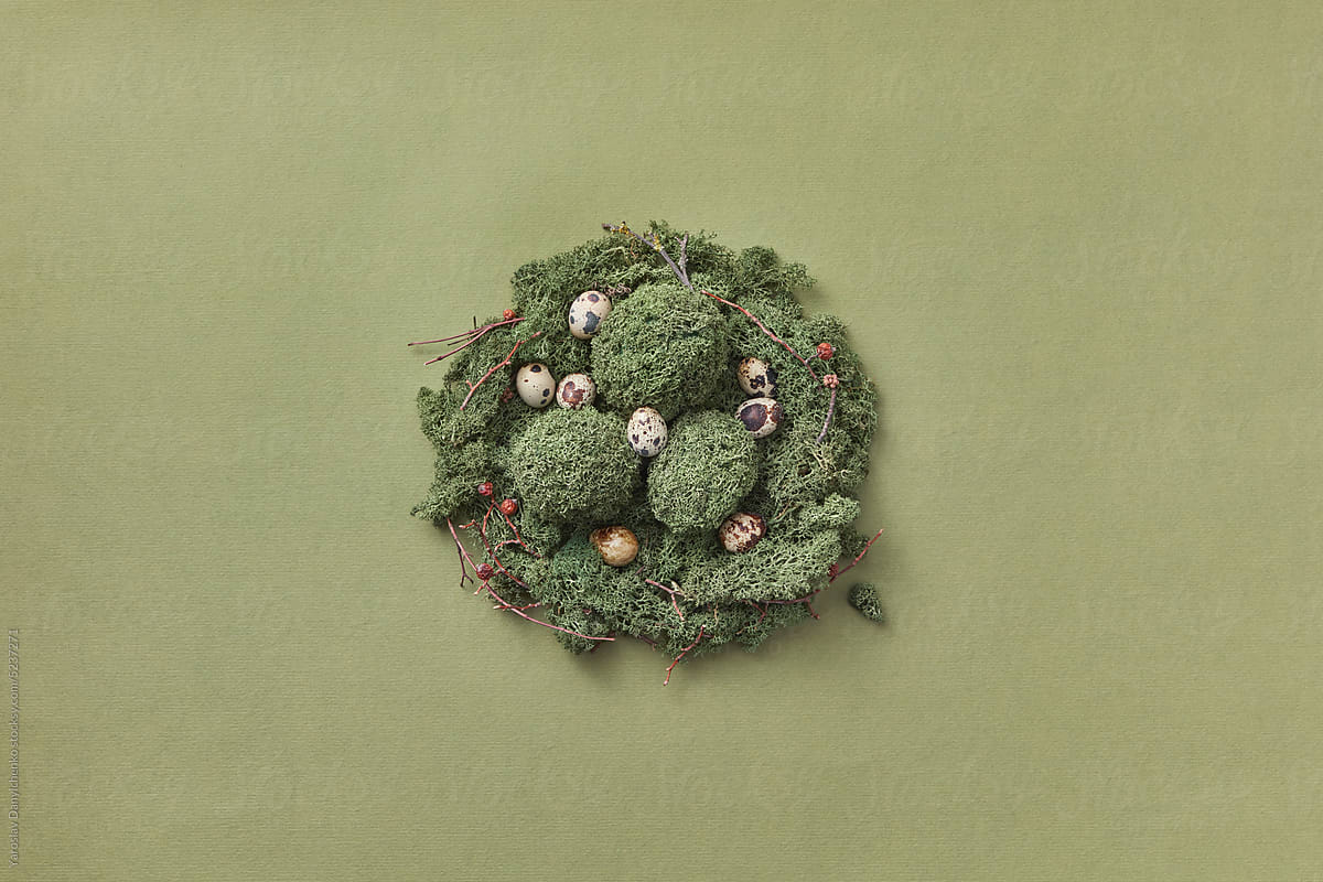 Grassy Easter eggs in moss nest with quail eggs.