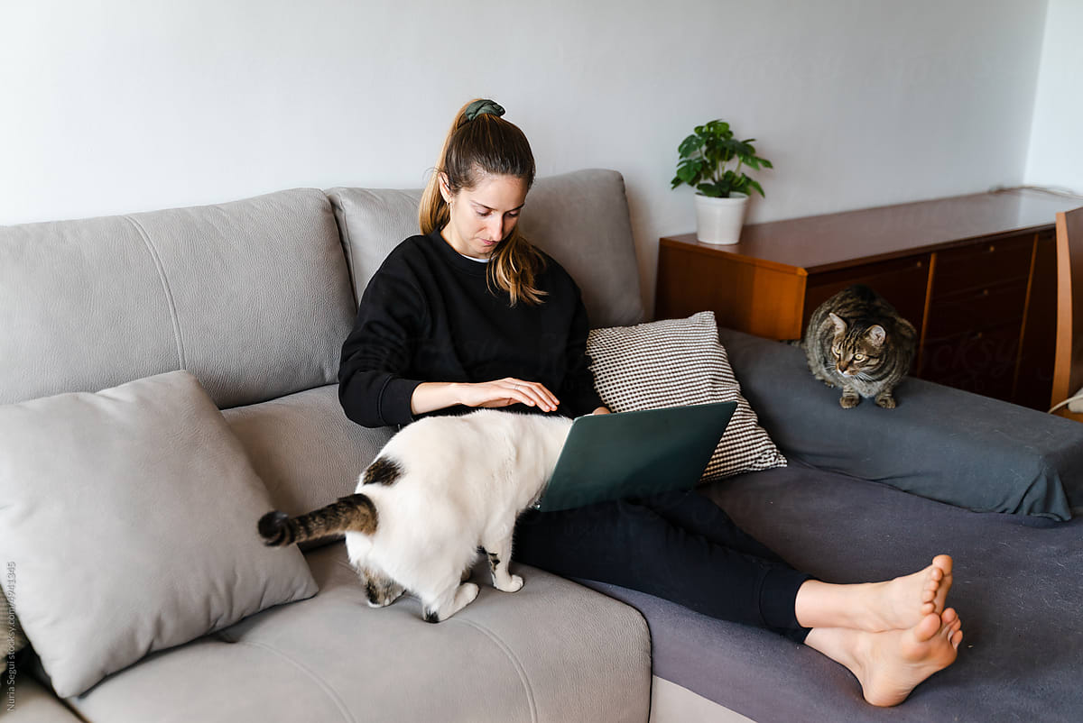 Woman Working From Home With Her Cats