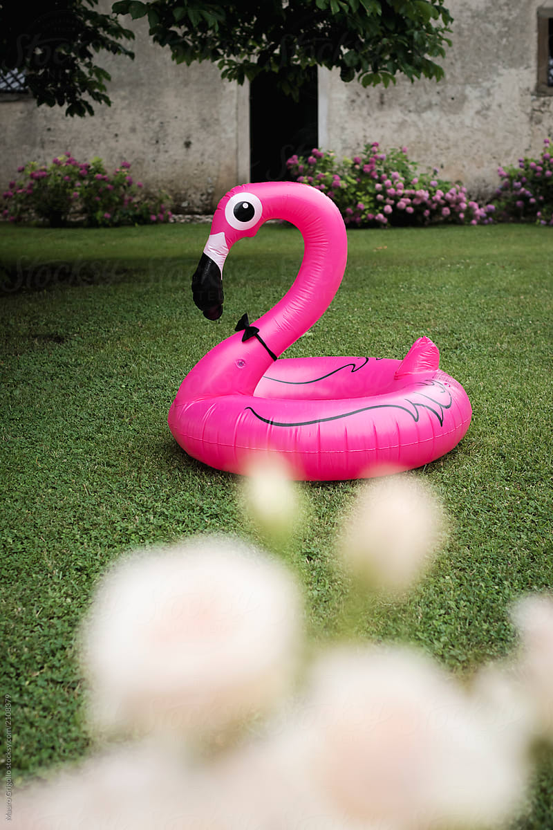 Inflatable flamingo in a garden of an house
