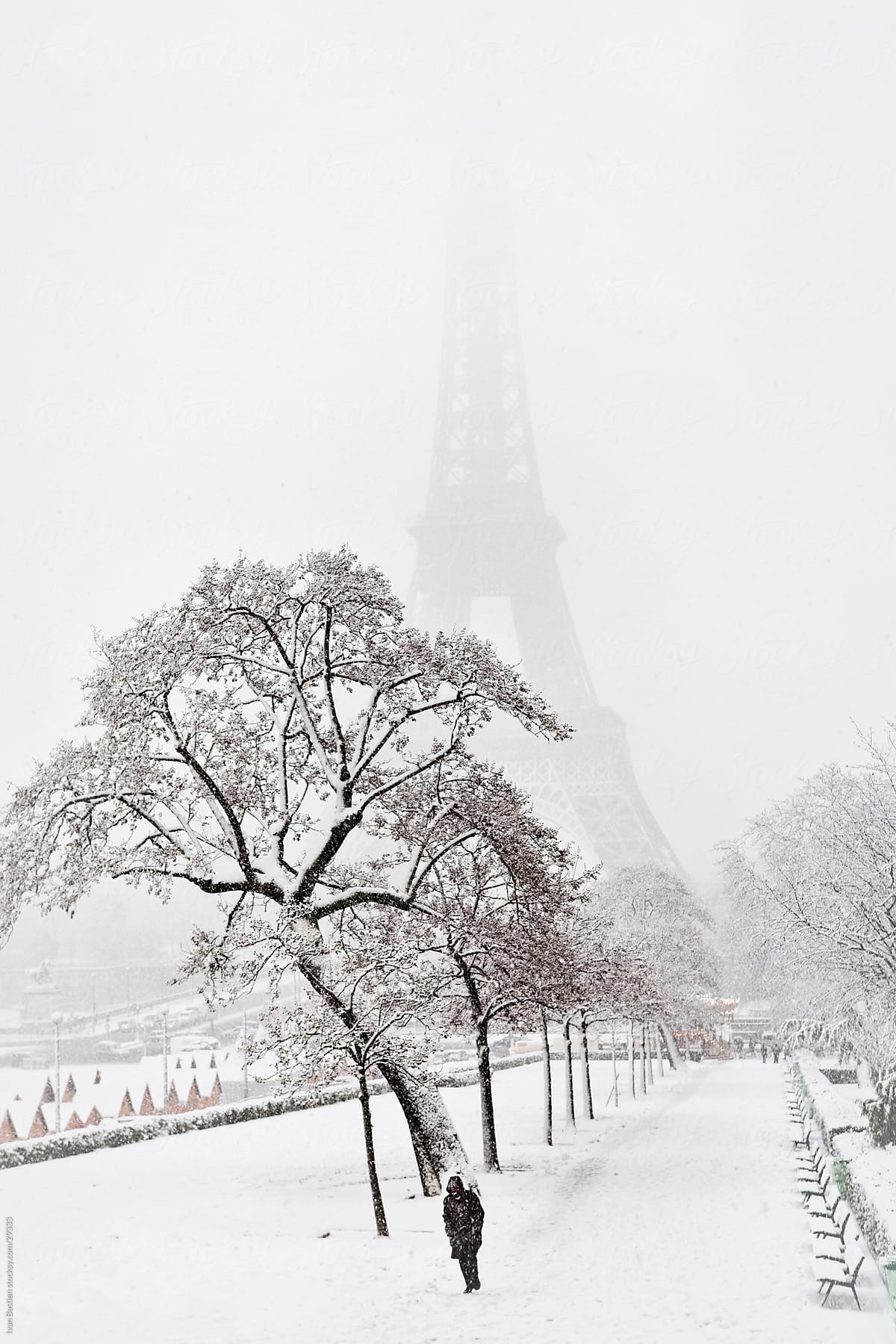 Lonely walker on a winter day in Paris