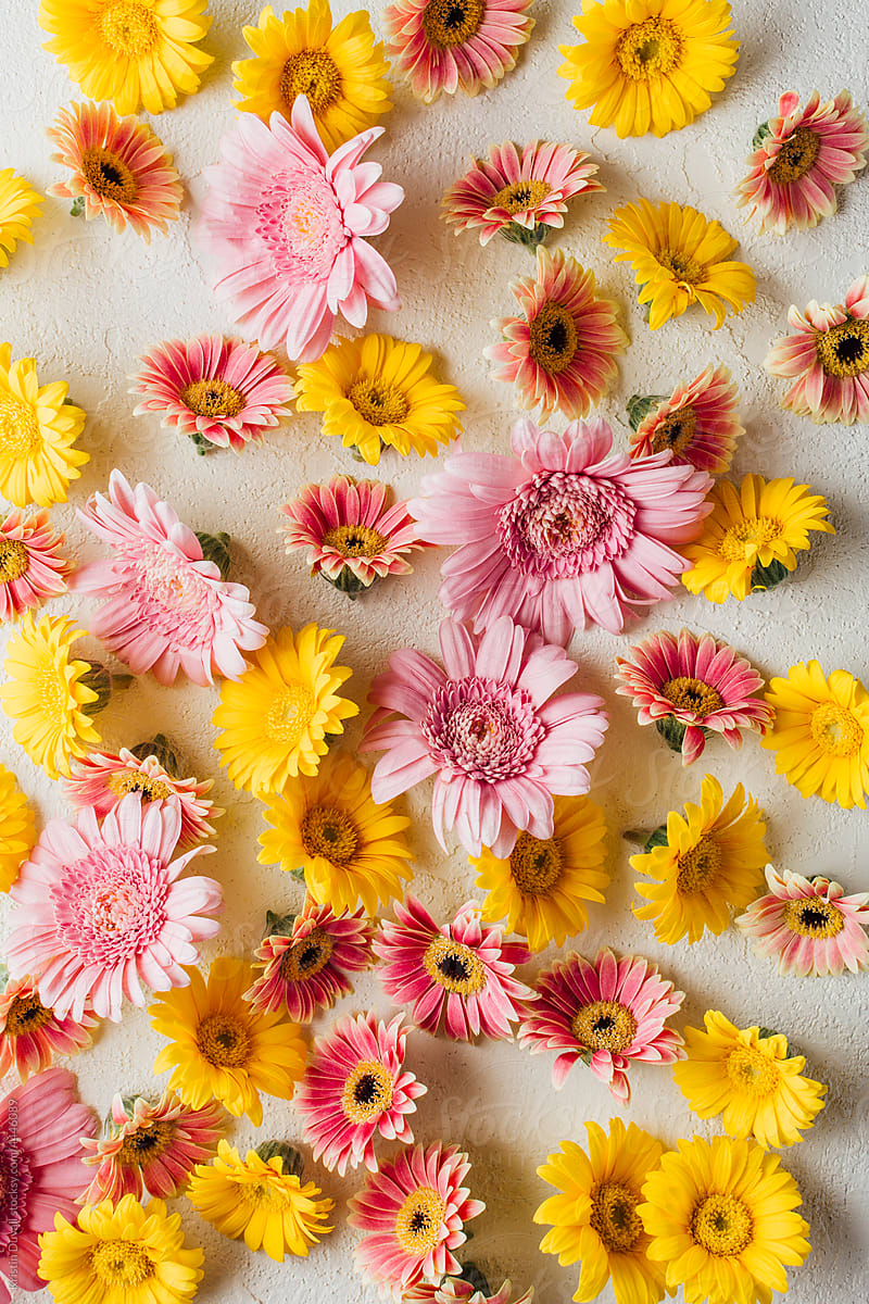 pastel flowers background