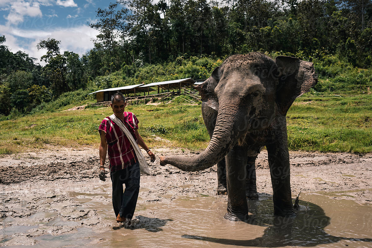 Man crosses a river with an Elephant
