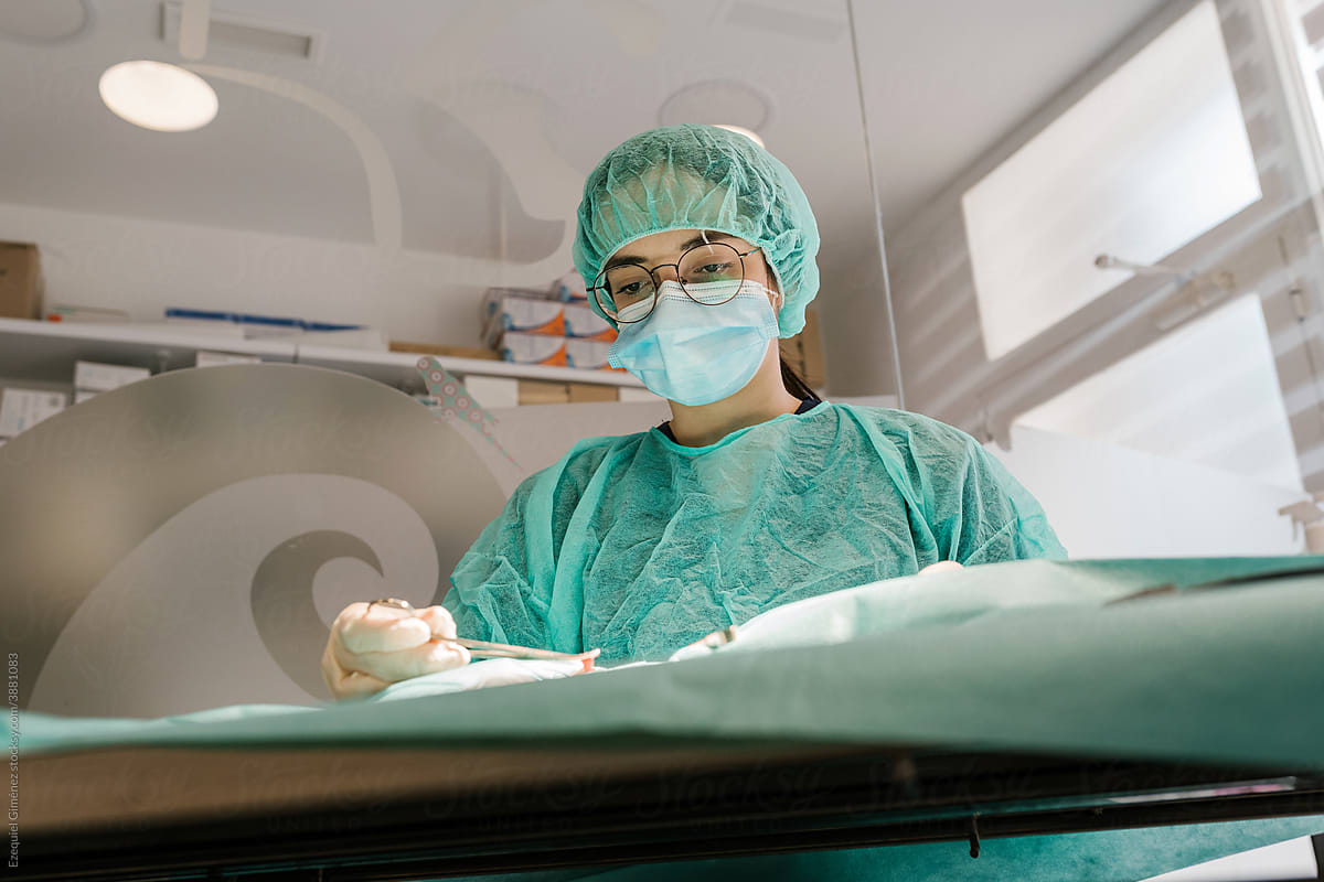 Veterinarian working in operating room
