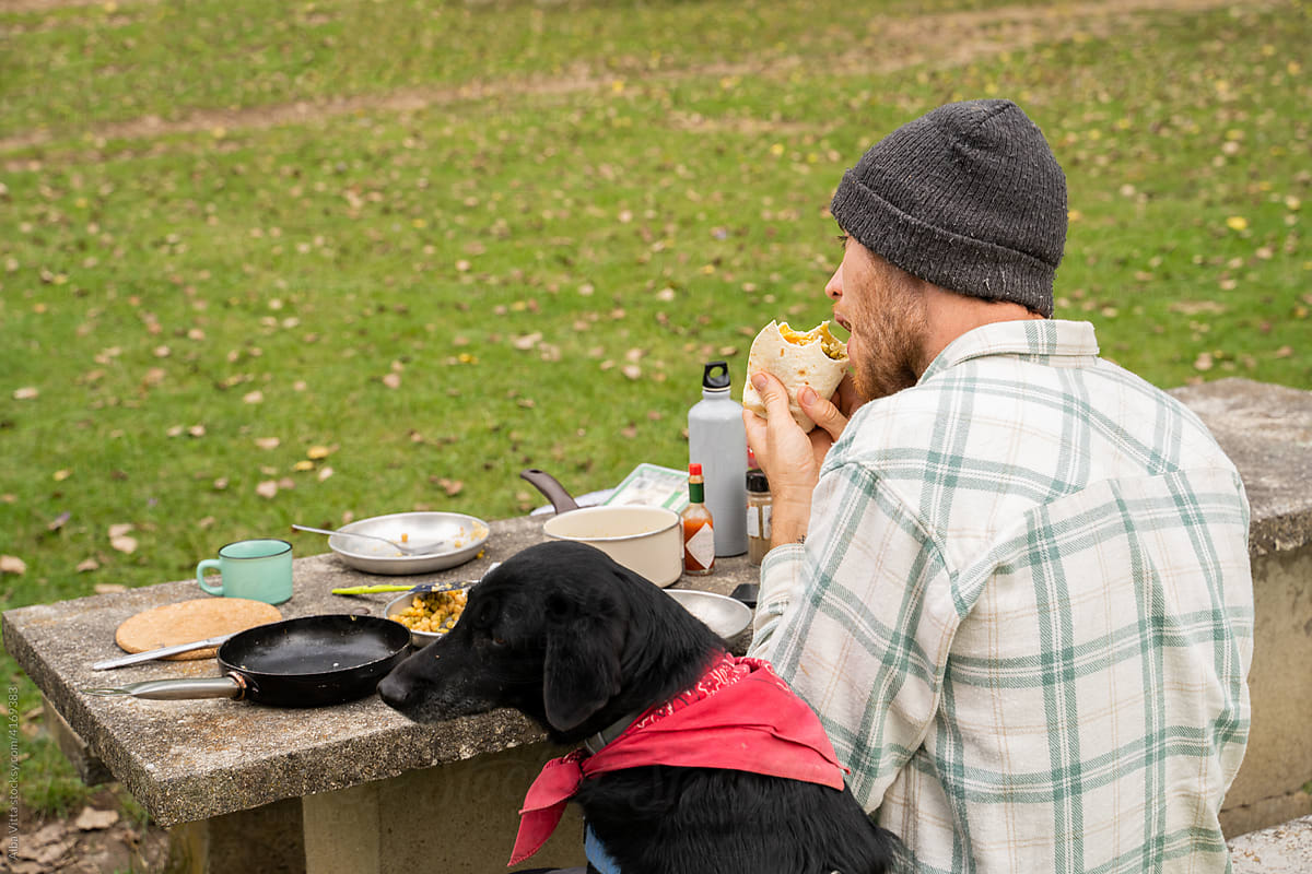 Man having picnic outdoors with his dog
