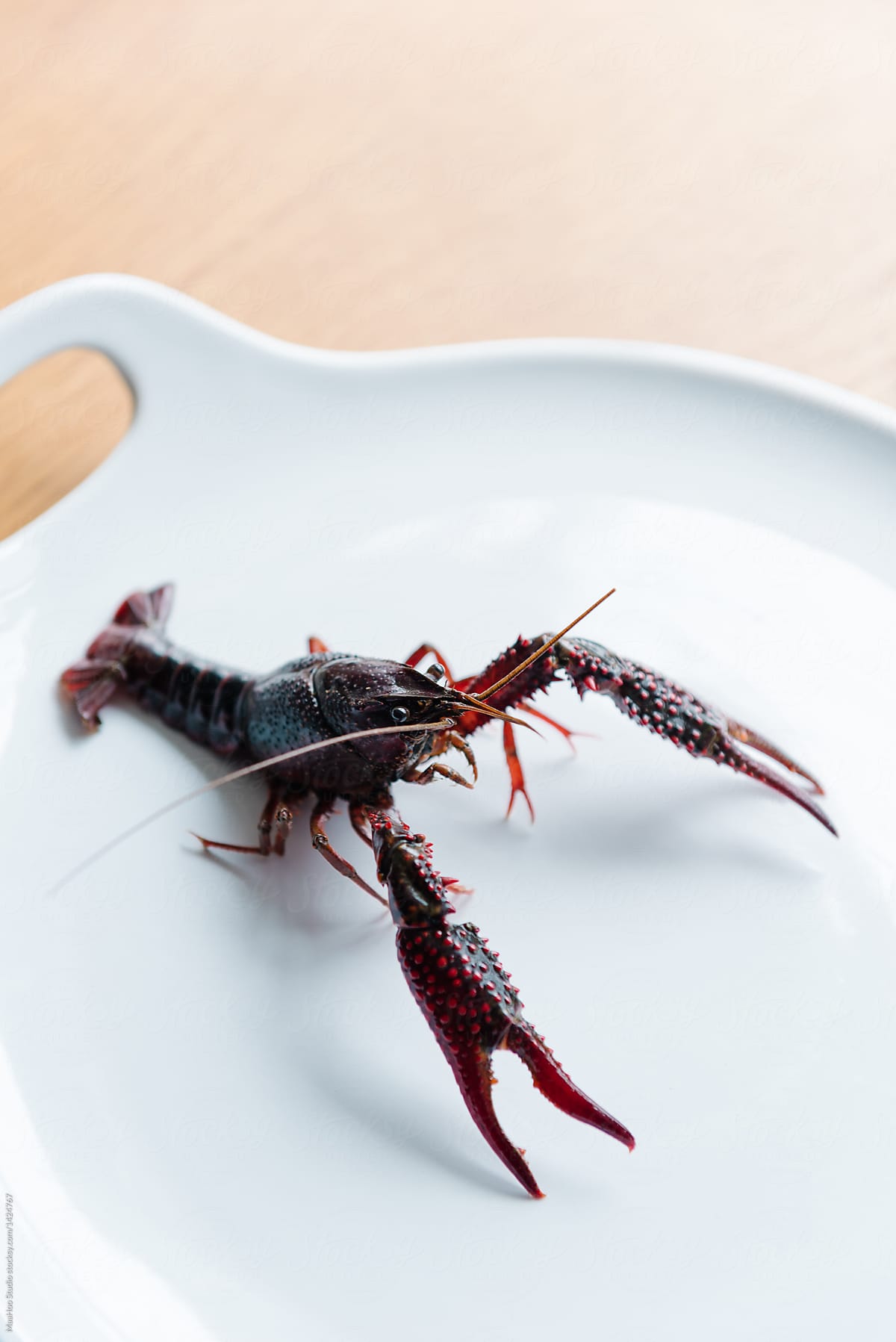 Close up of Crayfish on plate