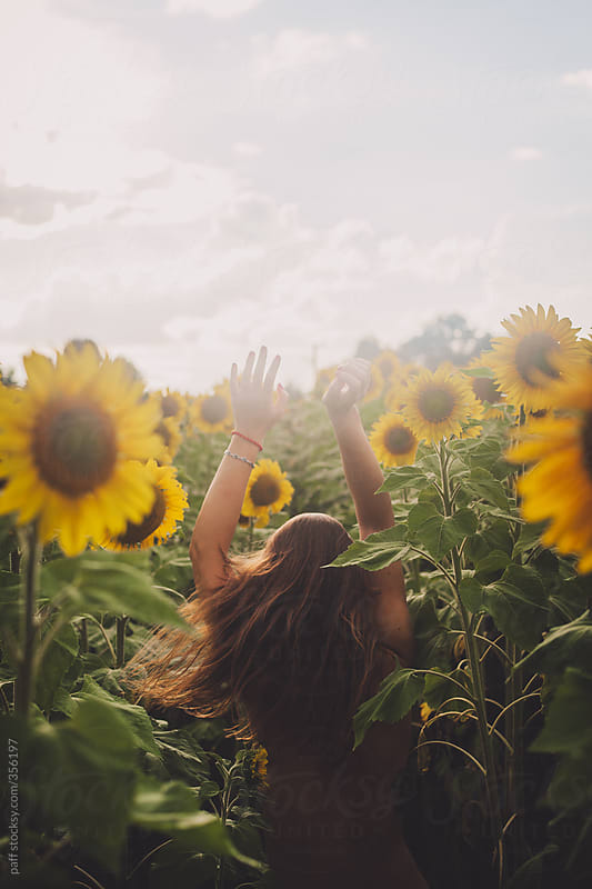Sensual Portrait Of A Girl In A Sunflower Field By Paff Girl