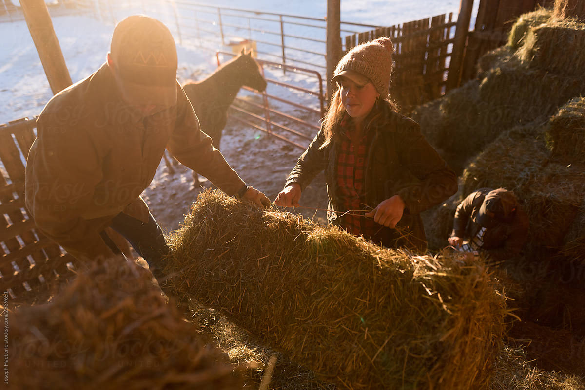 Cowboy and cowgirl throwing hay bales in hay barn at sunset