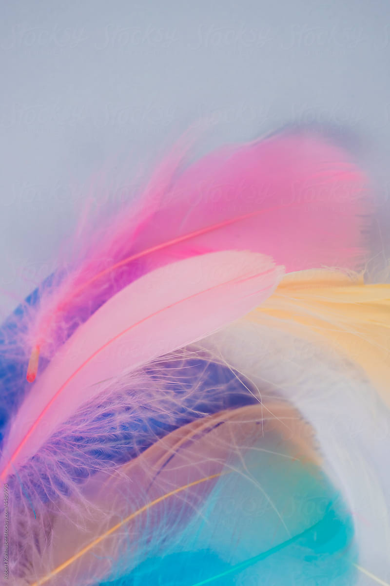 A collection of pastel colored feathers