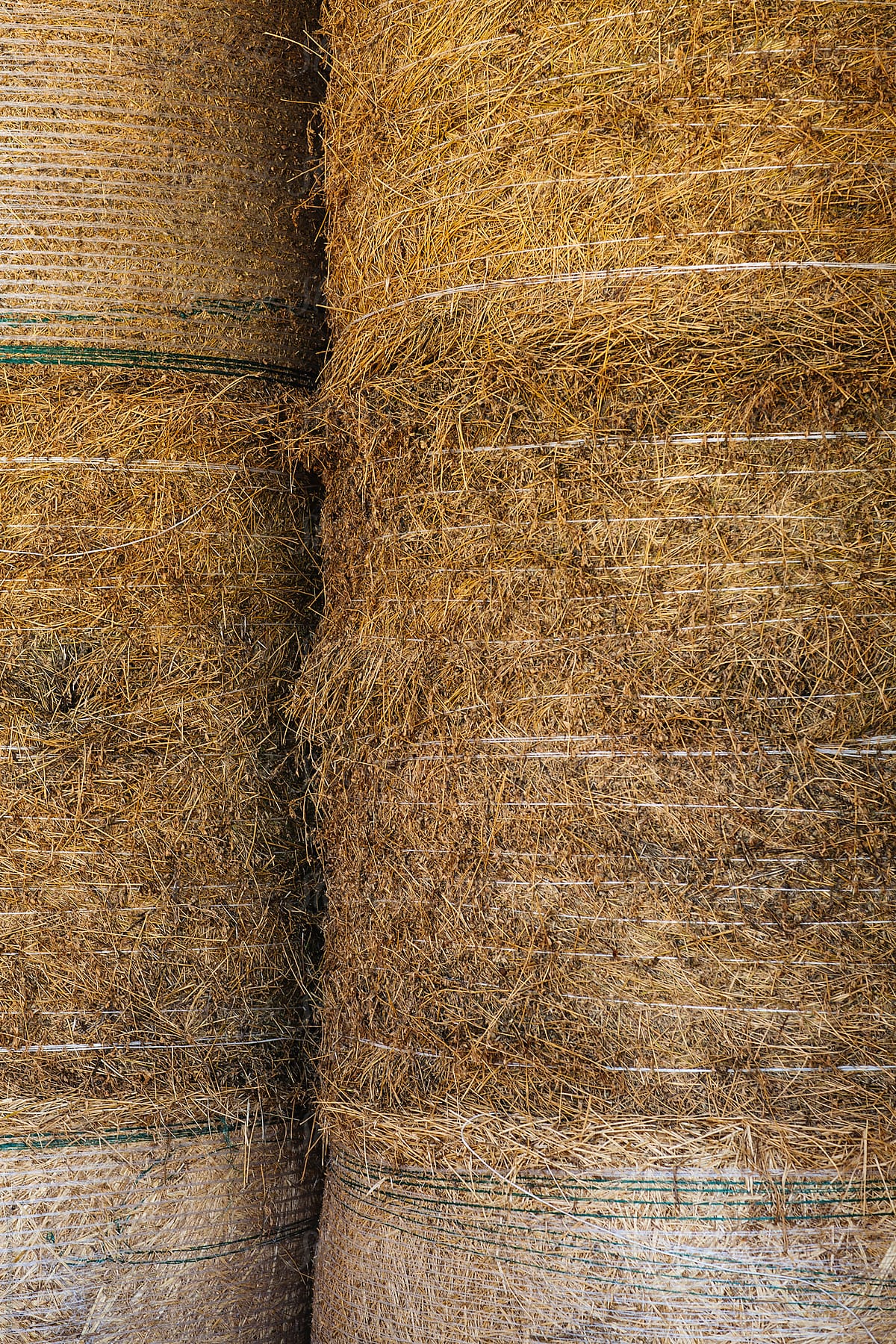 Bale of straw stored for the winter