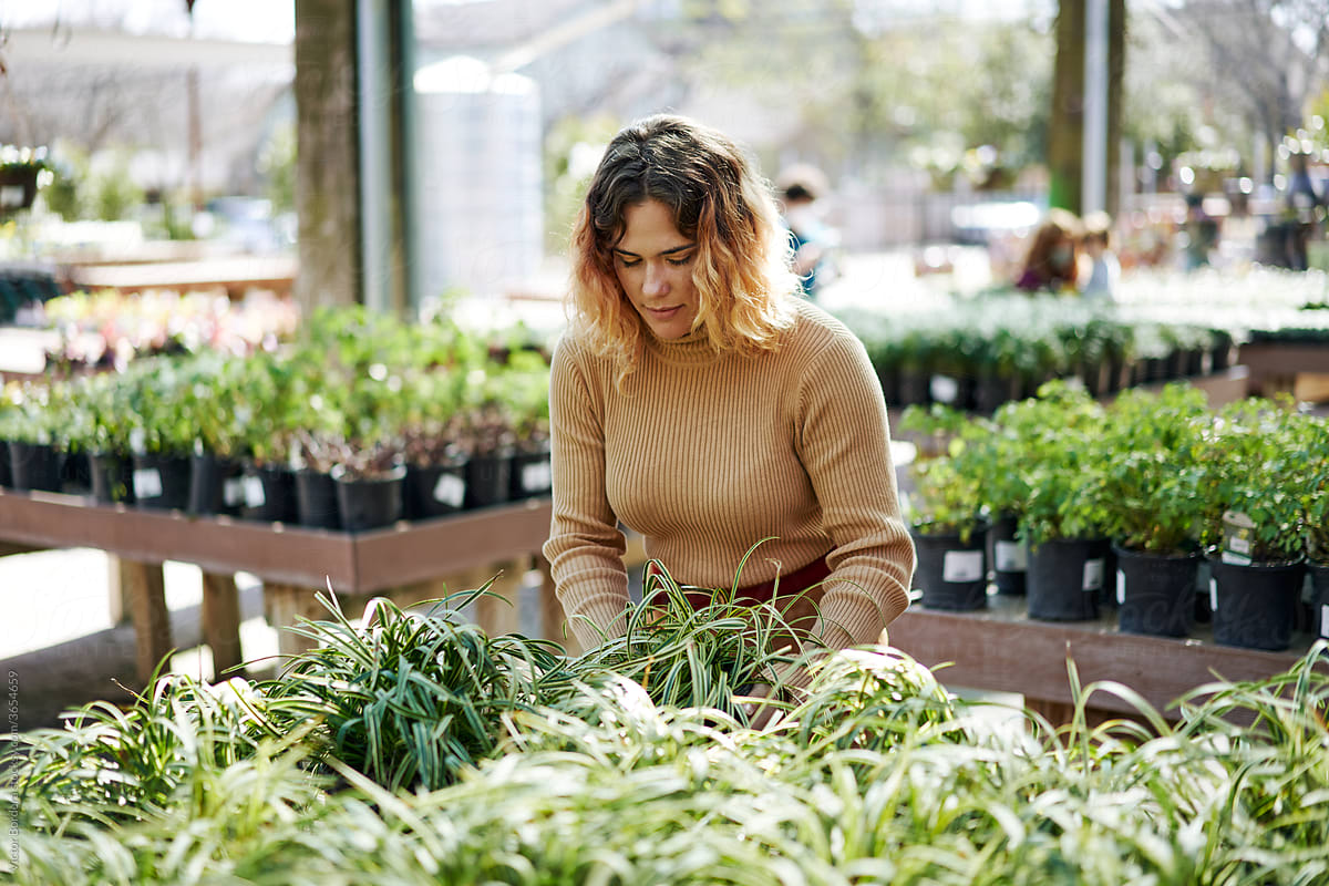 Young woman managing a plant nursery small business