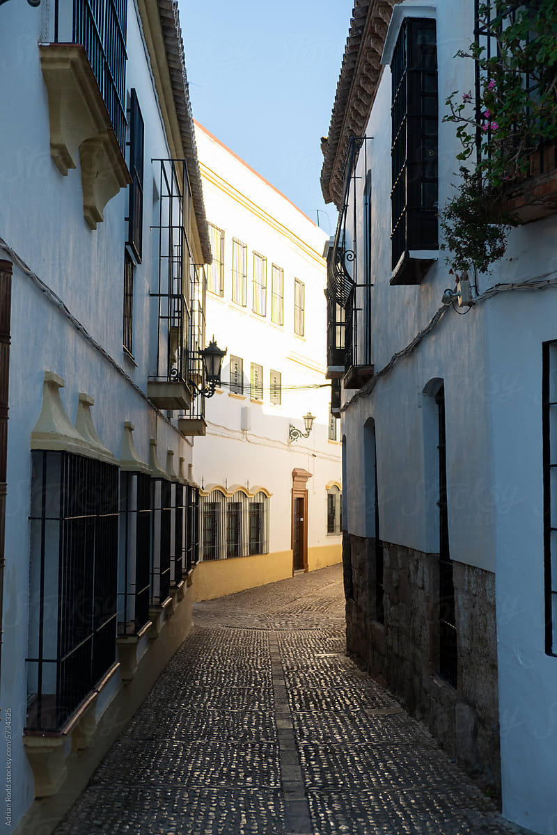 Traditional alleyway highlighting architectural details of Andalusia