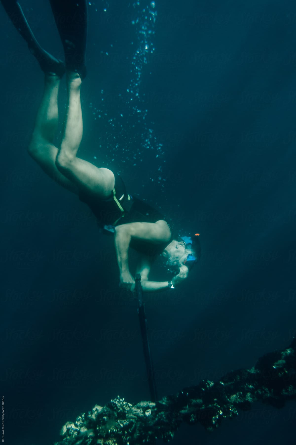 Diver hunting with underwater spear gun