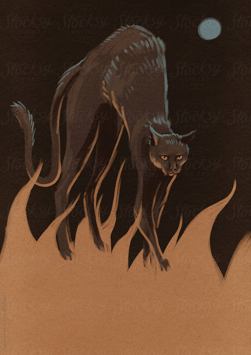 Cat Walking on Fire