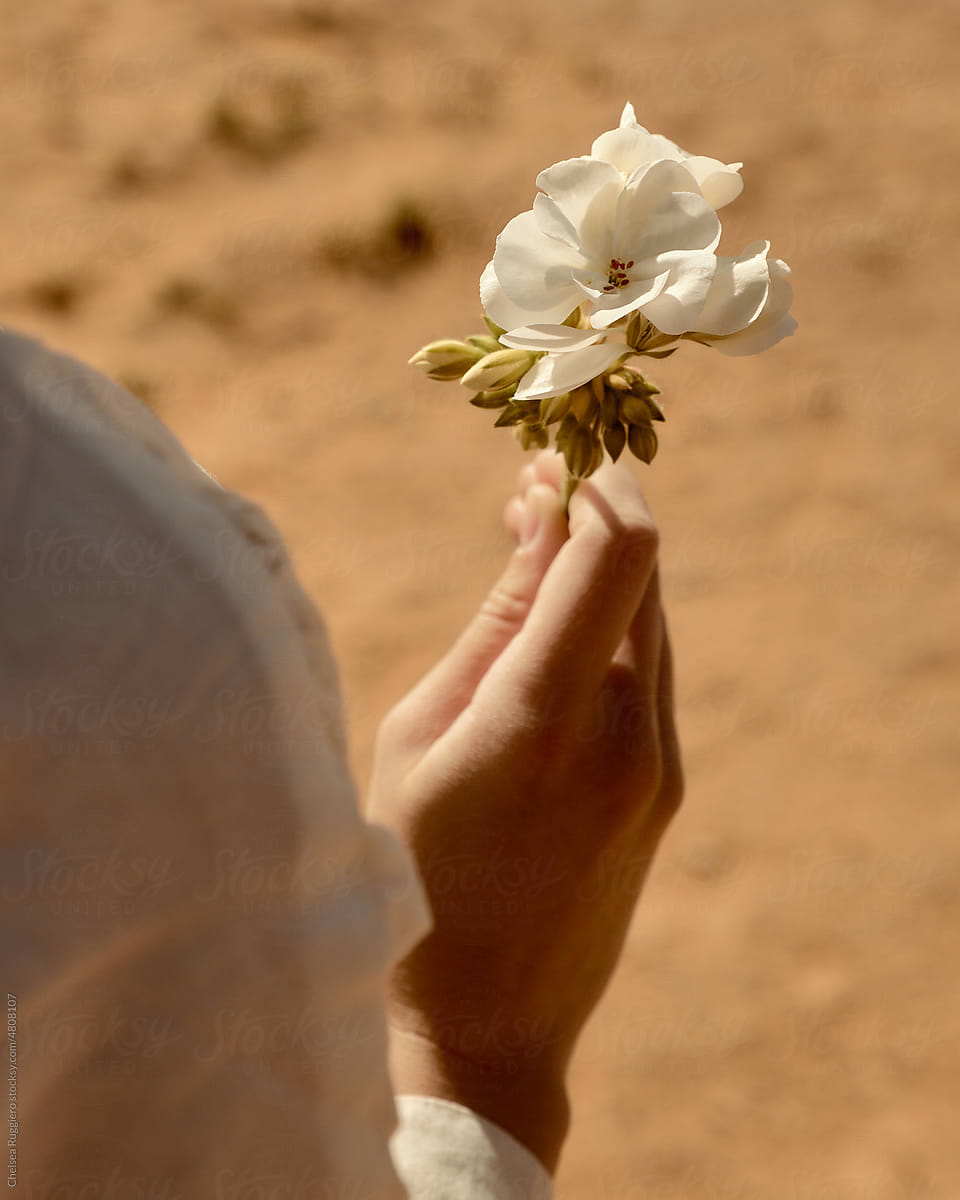 woman\'s hand holding white flower in the desert with sheer sleeve