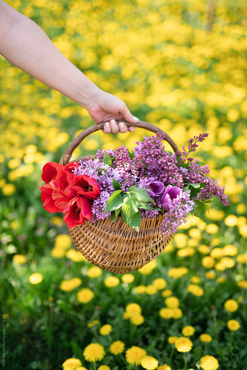 Woman holding basket full of flowers over dandelion meadow
