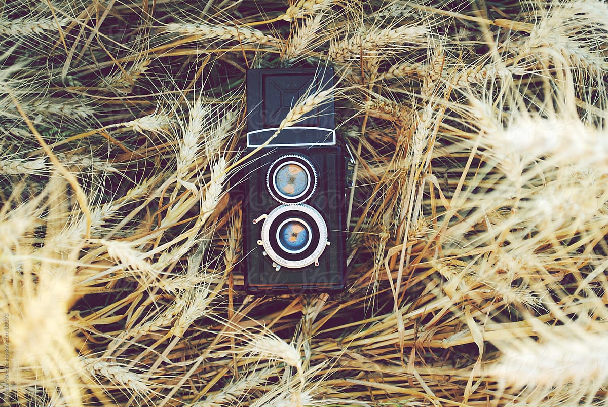 old camera in wheat