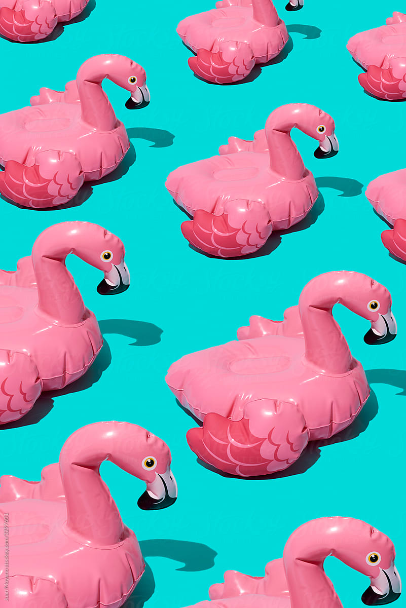 pink flamingo-shaped floaties