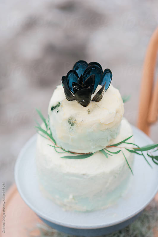Sea inspired cake on the beach,  cake decorated with shells