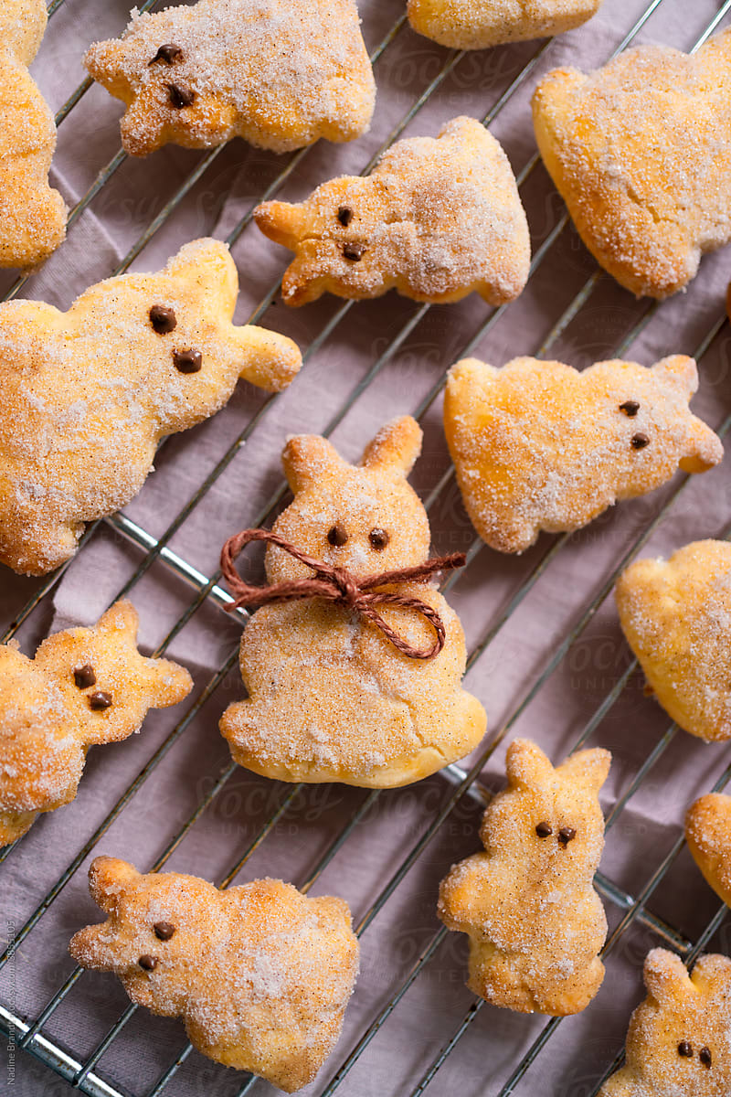 Traditional Easter bunny quark pastries  on tray