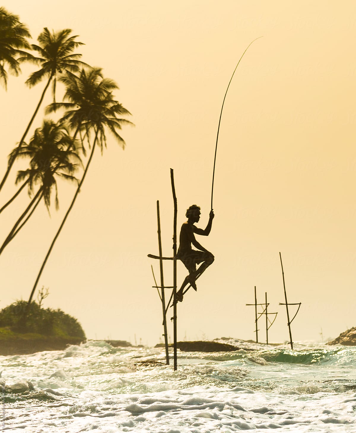 Stilt fisherman at Galle, Sri Lanka