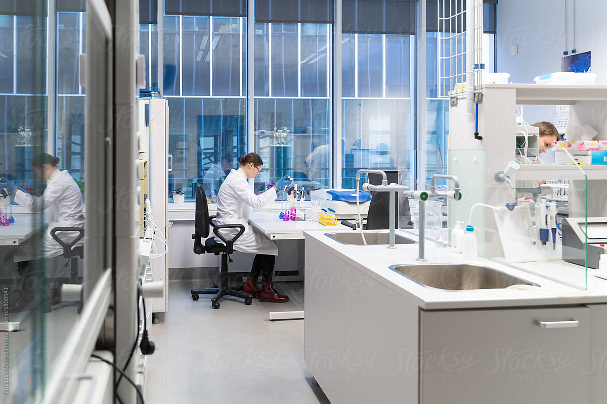Scientists Working In The Modern Laboratory Room