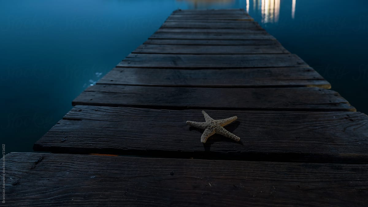 Starfish on a wooden dock