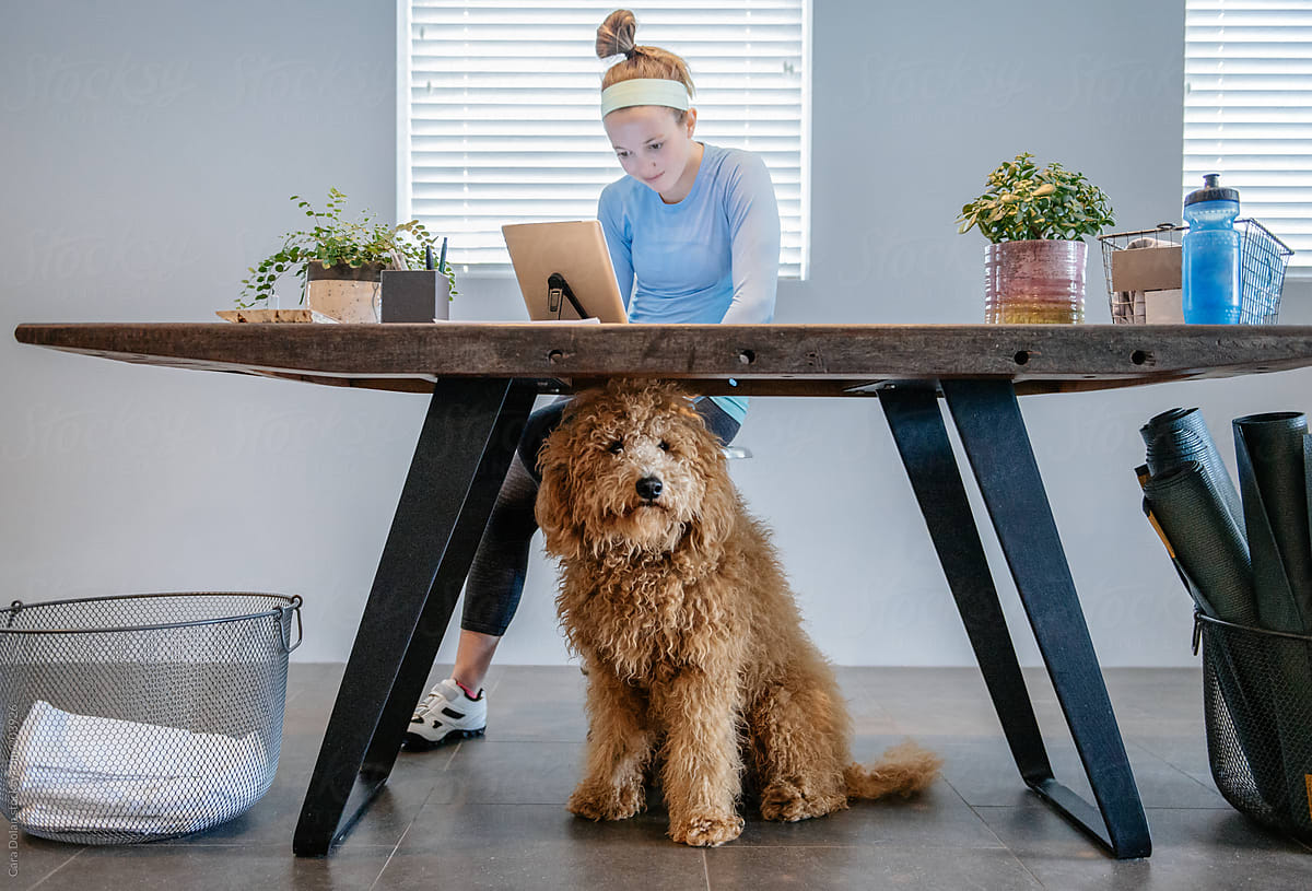 Small Business Owner Working with her Dog Under Desk