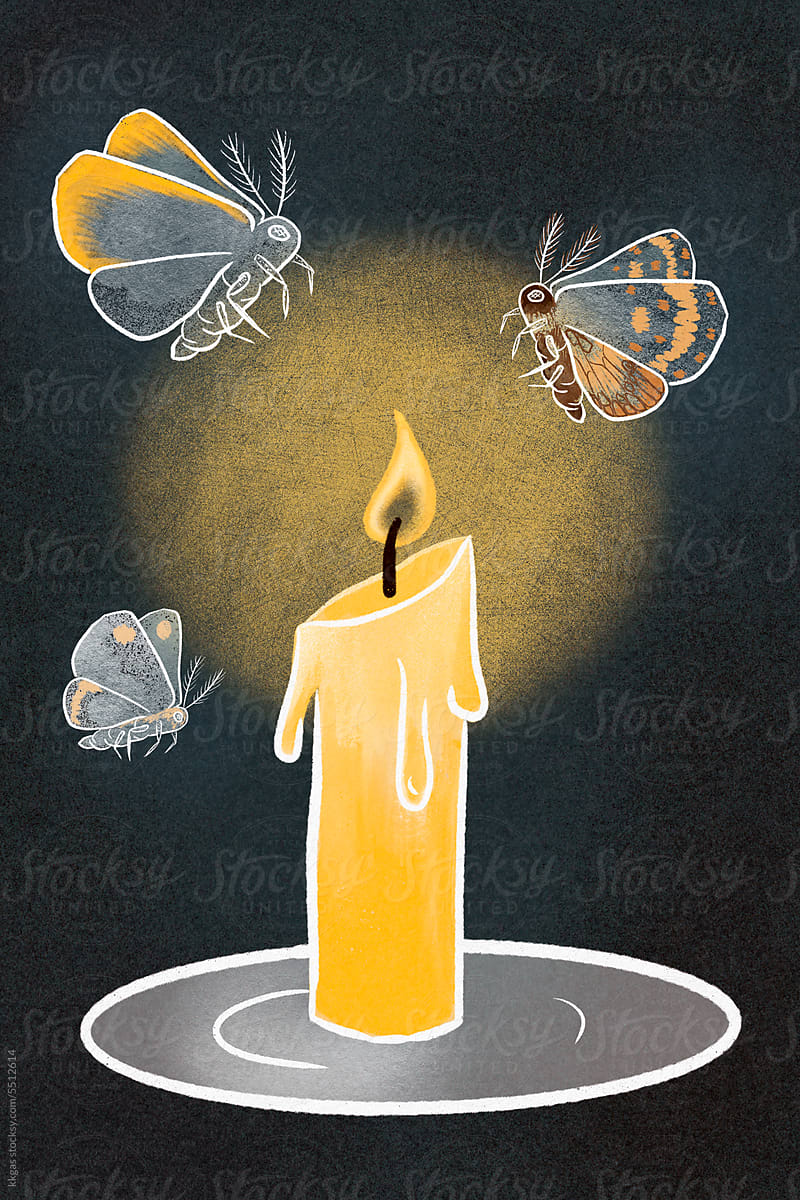 Autumn Moths flock to a candle flame