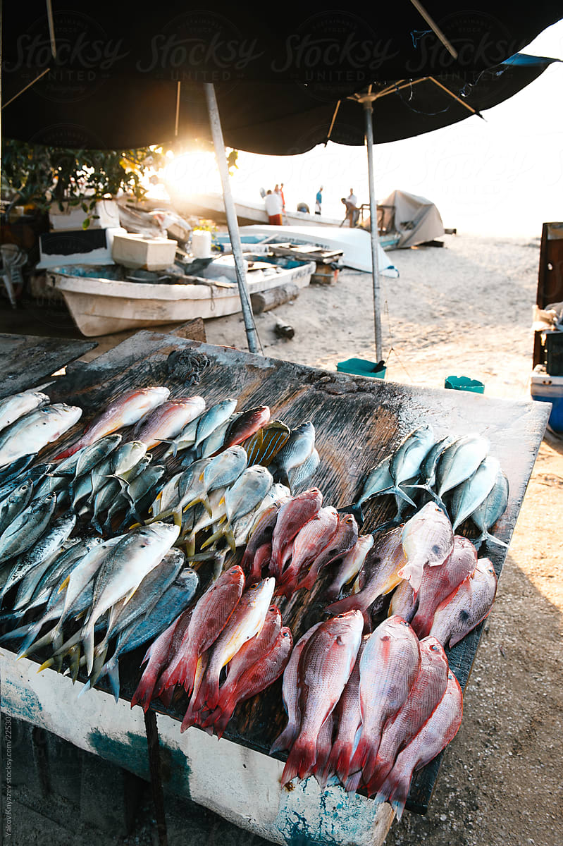 Fish market in Acapulco - Pacific ocean