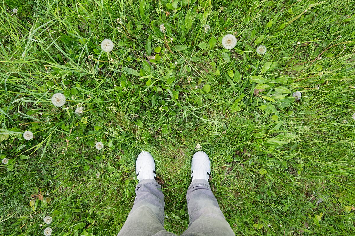White sneakers on meadow with blowballs, footsie, personal perspective