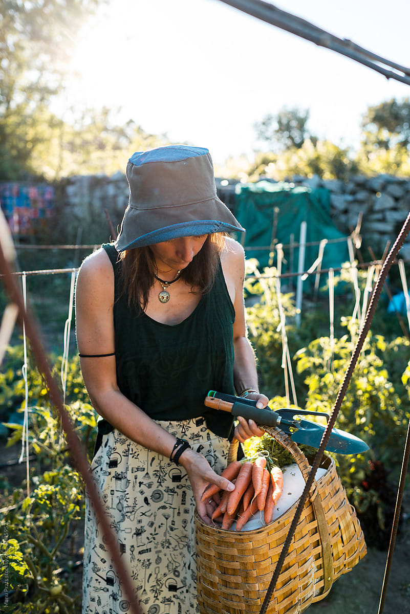 Woman gardening organic vegetables