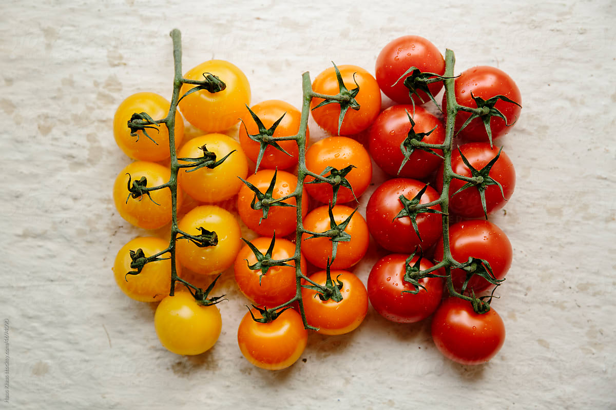 Colorful Tomatos