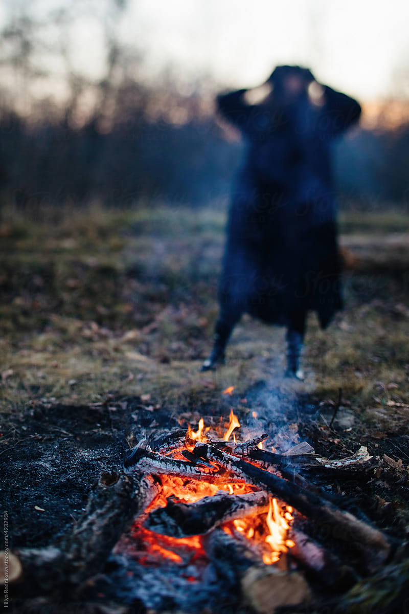 Bonfire in forest in evening