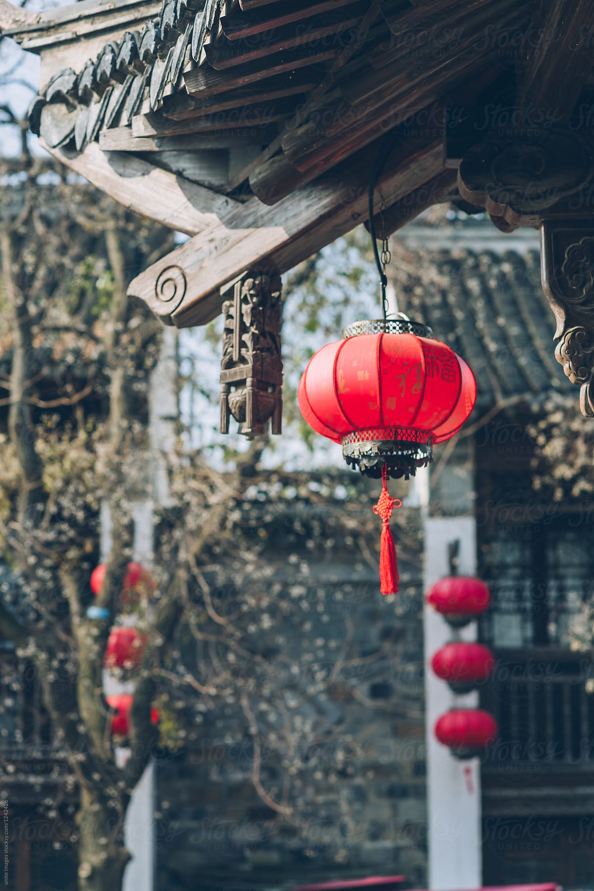 Red chinese lanterns hanging outside houses
