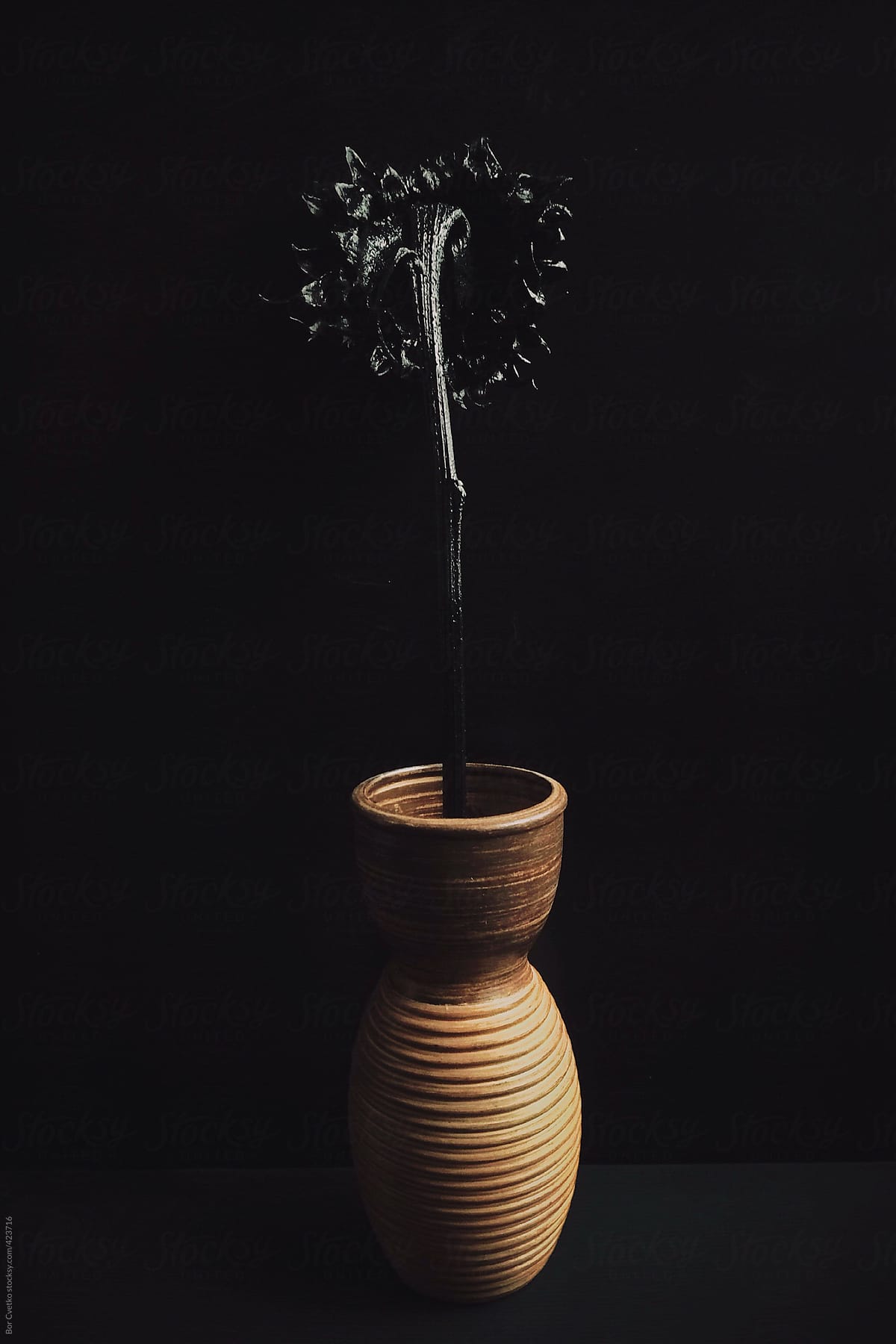 Black sunflower in brown vase