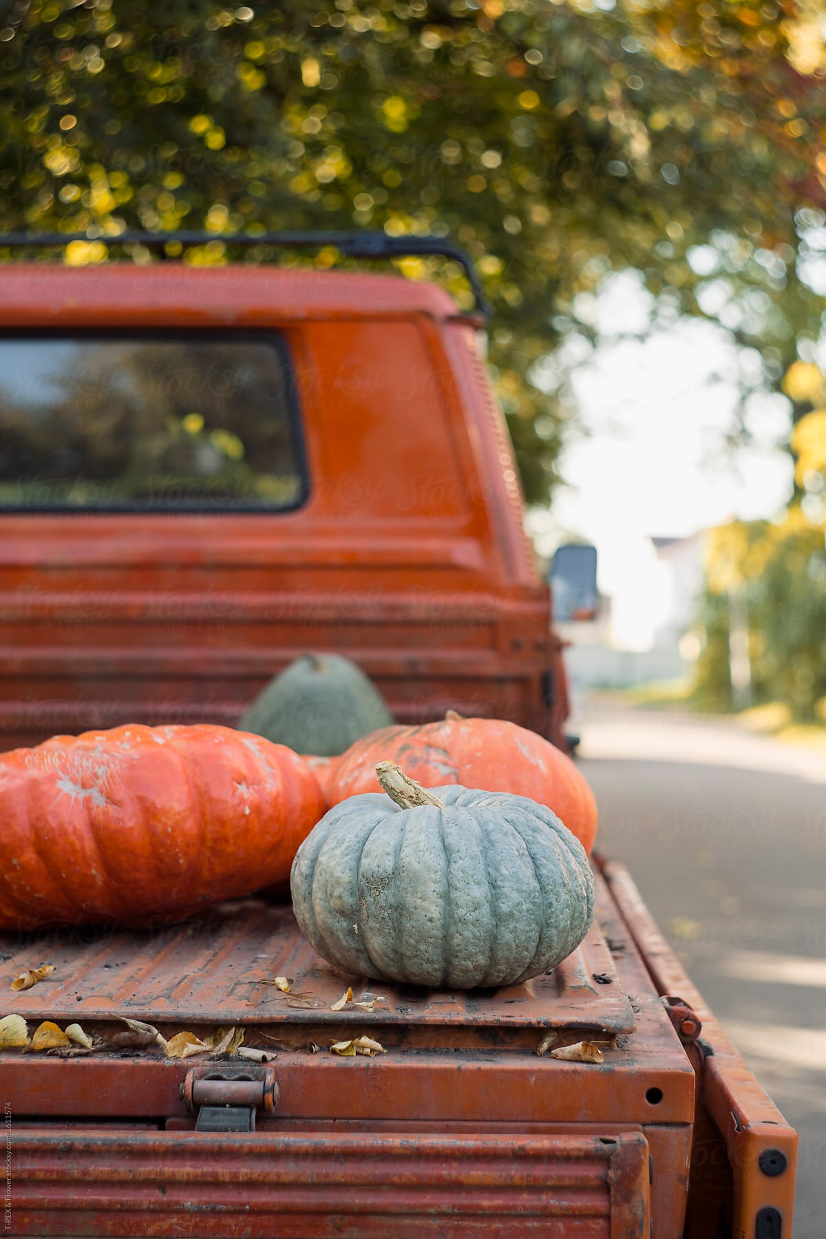 Truck with colorful pumpkins