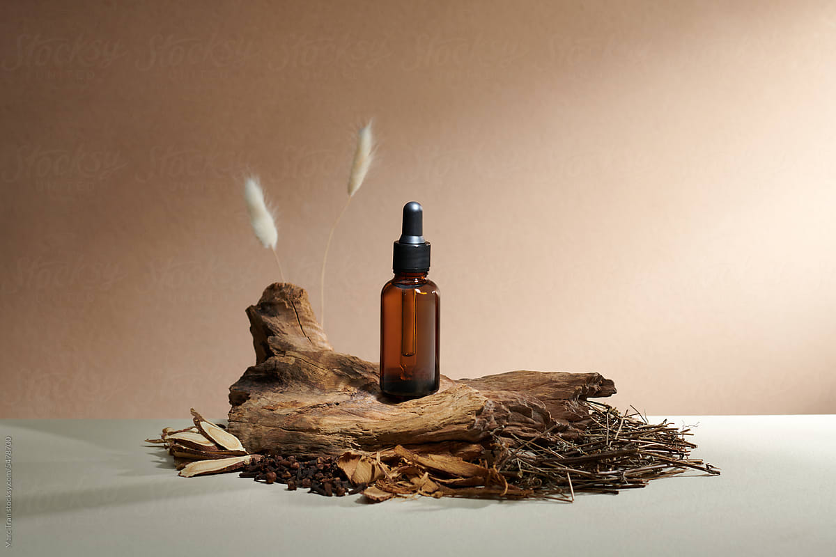 Glass bottle with aromatic oil or serum, bark tree with copy space.
