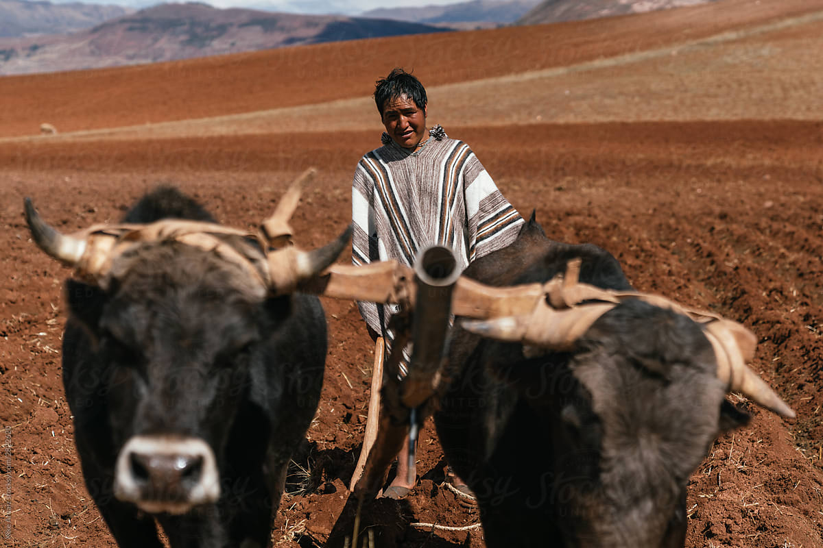 Peruvian man farming
