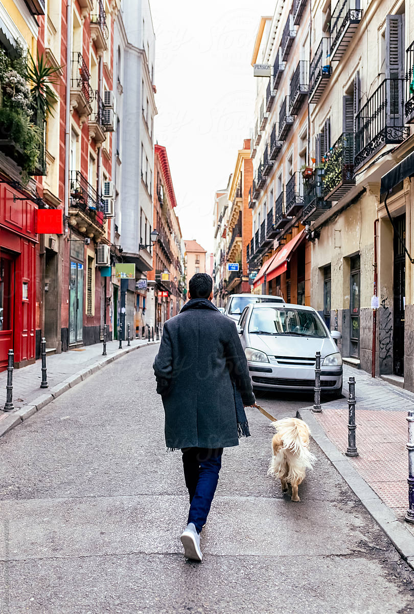 Man and dog in the city
