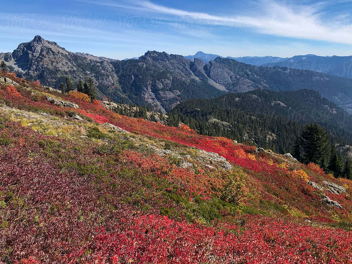 Cascades in autumn,  bright red huckleberry in foreground, near Snoqualmie Pass, Washington