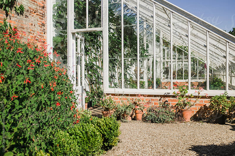 Traditional Victorian Greenhouse in a walled garden.